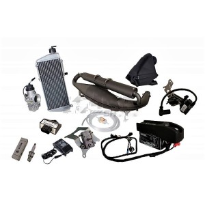 MOTEUR ROTAX MAX EVO