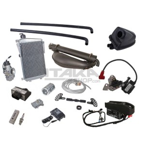 MOTEUR ROTAX MAX DD2