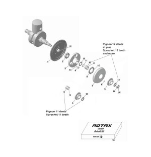 PIGNON ROTAX MAX 12 DENTS
