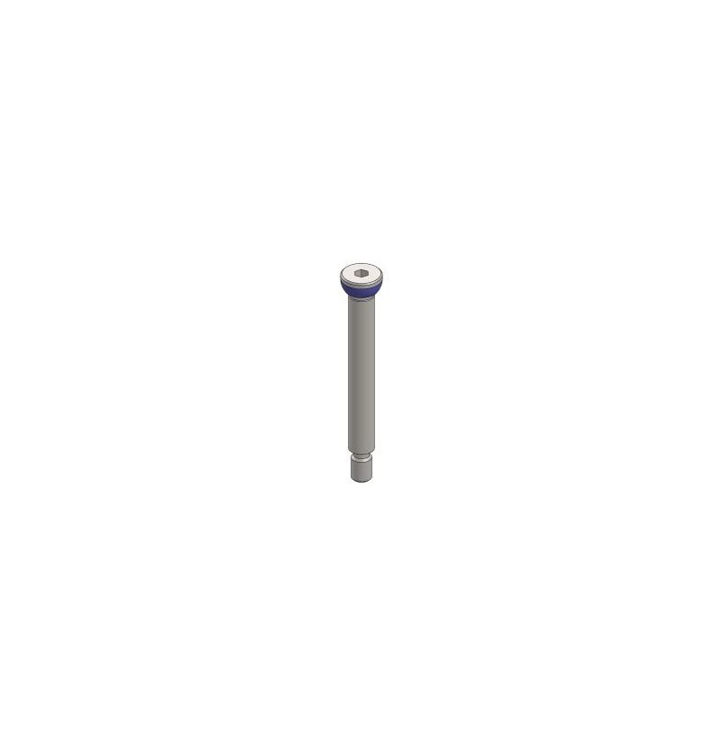 AXE DE FUSEE M 10X70 MM