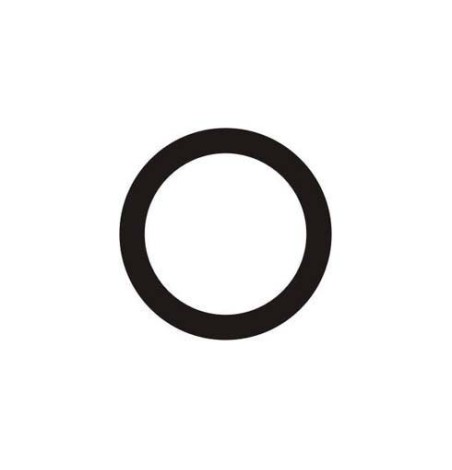 JOINT TORIQUE DE 32MM POUR ÉTRIER DE FREIN ARRIERE AP-RACE01