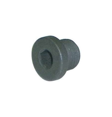 Vis couvercle M10 pour pompe de frein hydraulique Parolin – Pièce karting