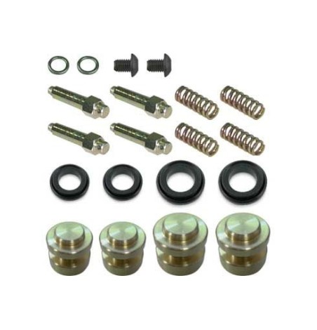Kit Révision Étrier Arrière AP Race 01 Parolin – Freinage Karting Haute Performance