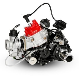 ROTAX 125 DD2 EVO