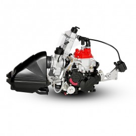 Pièces et accessoires moteur ROTAX 125 MAX & JUNIOR EVO | MF Kart Concept