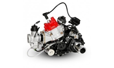 Pièces et accessoires moteurs ROTAX - MF Kart Concept